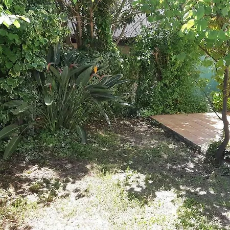Fleurs Du Paradis Apartment